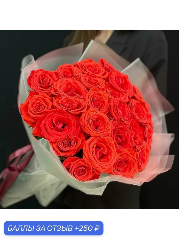 Букет из 25 красных алых роз Эквадор в матовой упаковке (мб 079) — Freedom Flowers, 250 баллов за отзыв Яндекс Маркет