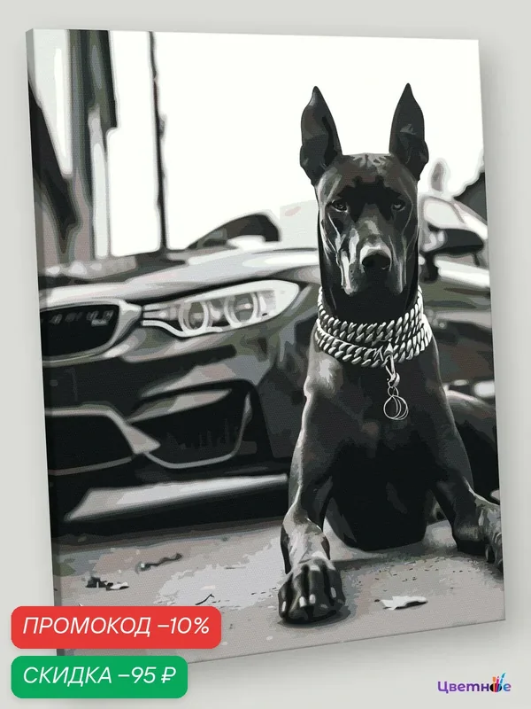 Картина по номерам на холсте с подрамником "Машина BMW и собака доберман чернобелая" Раскраска 40x50 см, Животные — Цветное, скидка по промокоду Яндекс Маркет