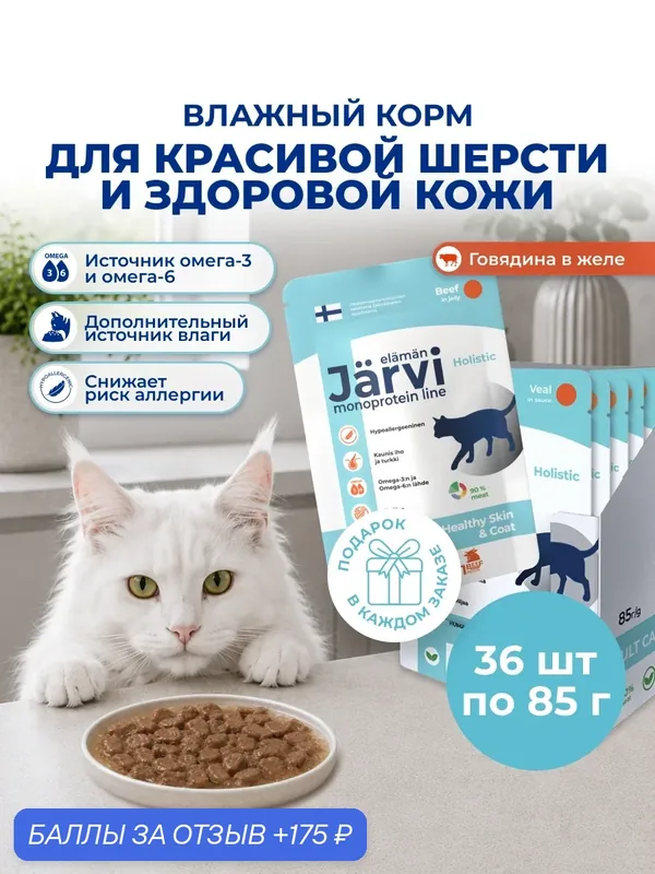 Влажный корм Jarvi монопротеиновый для кошек для красивой шерсти и здоровой кожи с говядиной (кусочки в желе), 85 г х 36 шт. — Jarvi, 175 баллов за отзыв Яндекс Маркет