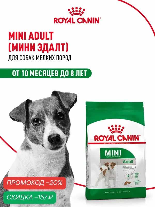Сухой корм для собак Royal Canin Mini Adult для мелких пород, 800 г — Royal Canin, скидка по промокоду Яндекс Маркет