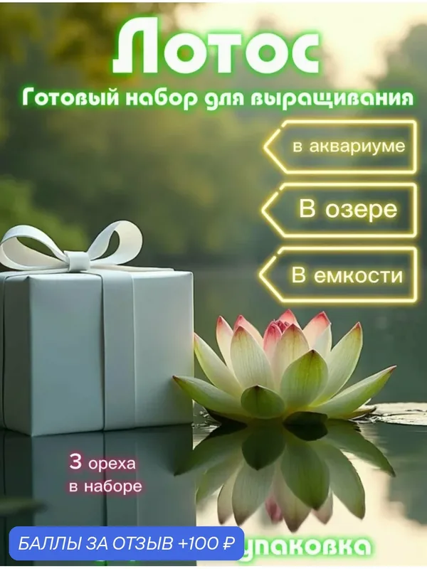 Набор для выращивания растений "Живой лотос", декоративный, для аквариума и пруда — 100 баллов за отзыв Яндекс Маркет