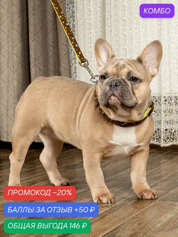 Поводок для собак Japan Premium Pet гибридный в стиле милитари в звёздах, размер М — Japan Premium Pet, скидка по промокоду Яндекс Маркет
