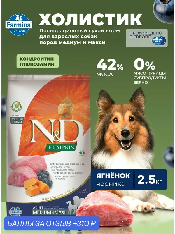 Cухой корм для собак Farmina 2, 5кг ND Pumpkin Н&Д Тыква с ягненком и черникой Для взрослых собак Медиум и макси — Farmina, 310 баллов за отзыв Яндекс Маркет