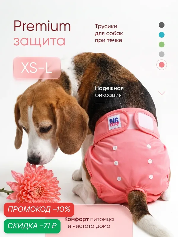 Premium трусы для собак при течки — BIG tiny, скидка по промокоду Яндекс Маркет