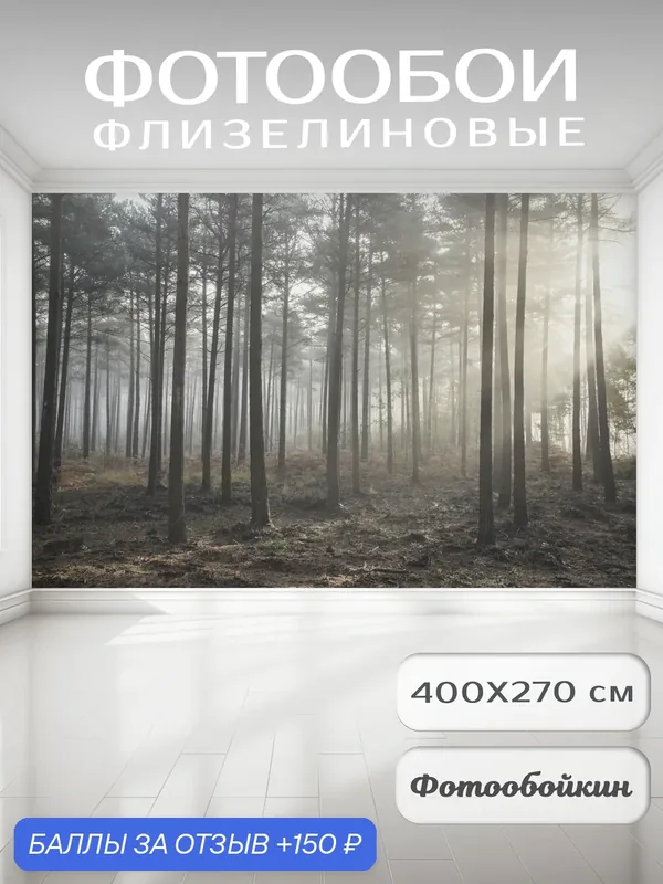 Фотообои 3д на стену "Рассвет в лесу", флизелиновые 400х270 см на кухню, спальню, зал — Fotooboikin, 150 баллов за отзыв Яндекс Маркет