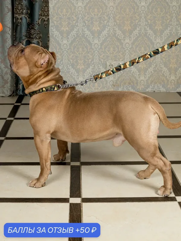 Поводок для собак Japan Premium Pet гибридный в стиле милитари камуфляж, размер L — Japan Premium Pet, скидка по промокоду Яндекс Маркет