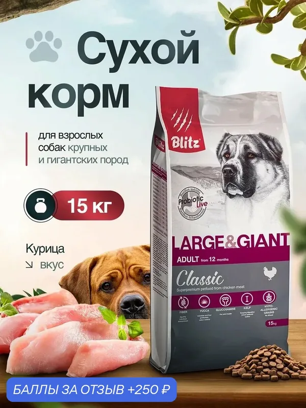 Сухой корм Blitz Classic, для взрослых собак крупных и гигантских пород, со вкусом курицы, 15 кг — Blitz, 250 баллов за отзыв Яндекс Маркет