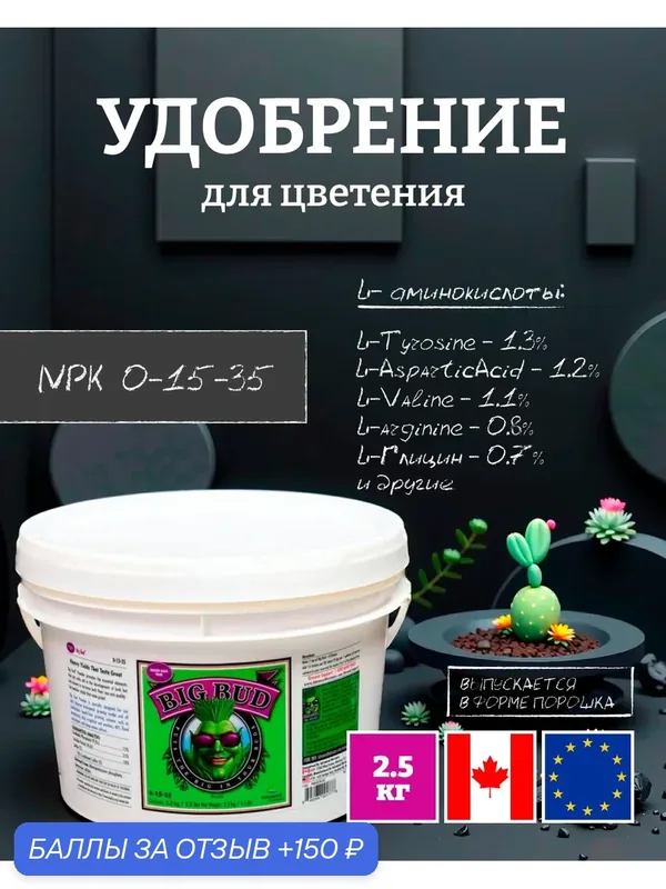 Удобрение для урожайности Advanced Nutrients Big Bud Powder 2.5 кг. — Advanced Nutrients, скидка по промокоду Яндекс Маркет