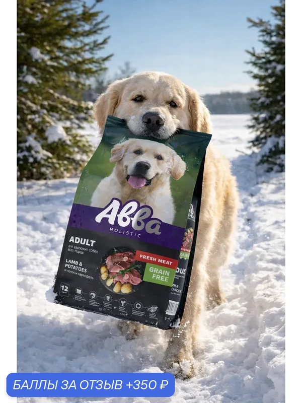 Авва Grain Free Сухой корм беззерновой для взрослых собак всех пород, с ягнёнком и картофелем, 12 кг — Авва, 350 баллов за отзыв Яндекс Маркет