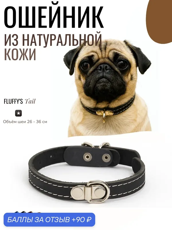 Ошейник для собак мелких, средних пород черный кожаный — FLUFFY'S TAIL, 90 баллов за отзыв Яндекс Маркет