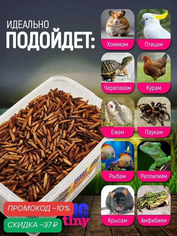 Корм для крыс, хомяков, птиц, черепах черная львинка и лакомство для грызунов, попугаев. — BIG tiny, скидка по промокоду Яндекс Маркет