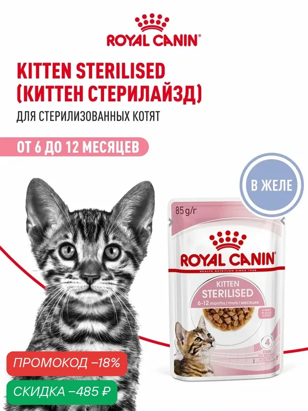 Влажный корм для стерилизованных котят Royal Canin Kitten Sterilised кусочки в желе, 28 шт по 85 г — Royal Canin, скидка по промокоду Яндекс Маркет