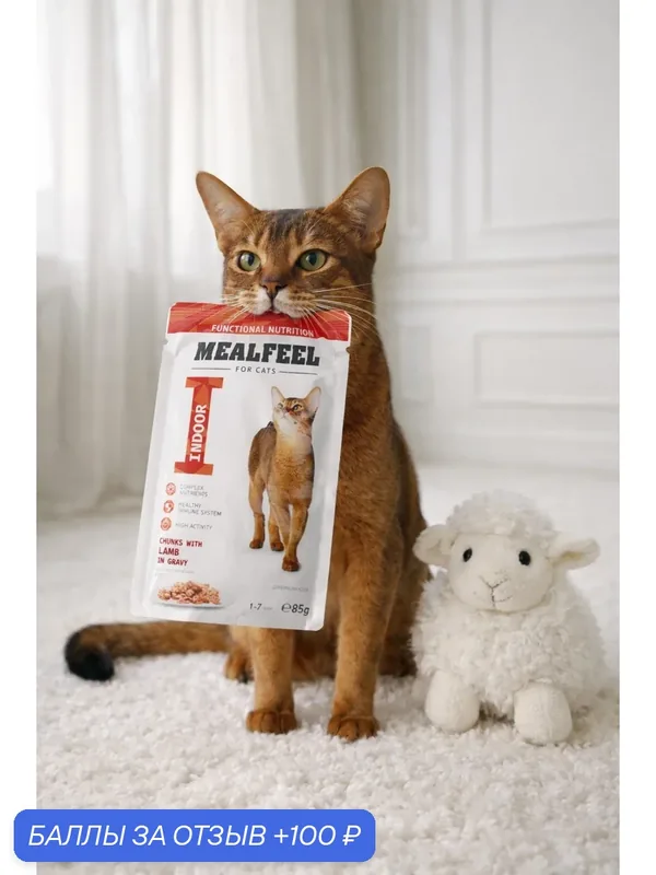 Влажный корм Mealfeel "Functional Nutrition", ягненок с курицей, соус, для кошек, 85 г, 14 шт — MEALFEEL, 100 баллов за отзыв Яндекс Маркет