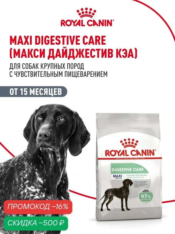 Сухой корм для собак крупных пород Royal Canin Maxi Digestive Care при чувствительном пищеварении, 3 кг — Royal Canin, скидка по промокоду Яндекс Маркет
