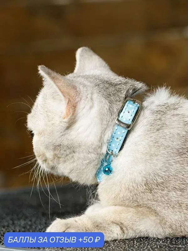 Безопасный ошейник Japan Premium Pet в стиле "Швейцарского горошка" с системой защиты от удушения, размер S с бубенчиком — Japan Premium Pet, 50 баллов за отзыв Яндекс Маркет
