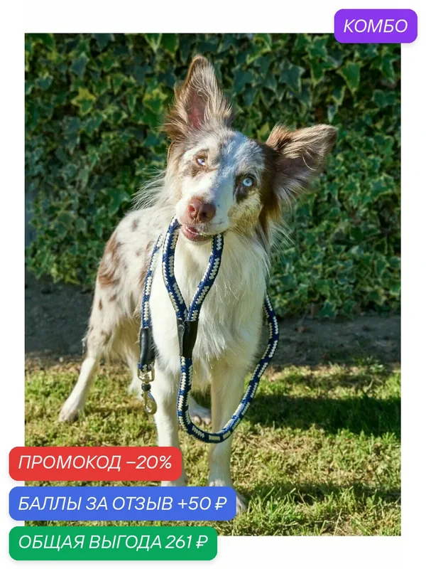 Поводок водилка для собак Japan Premium Pet антисрыв со стоппером на карабине, тёмно-синий, вес собак до 30 кг. — Japan Premium Pet, промокод и 50 баллов за отзыв Яндекс Маркет
