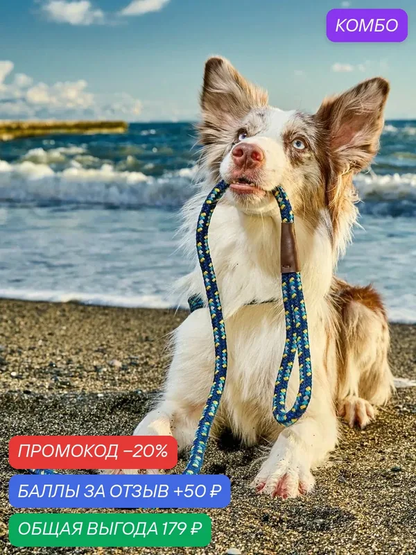 Поводок для собак Japan Premium Pet особо прочный светоотражающий "АнтиСрыв" со стоппером на карабине, цвет синий, размер М. — Japan Premium Pet, промокод и 50 баллов за отзыв Яндекс Маркет