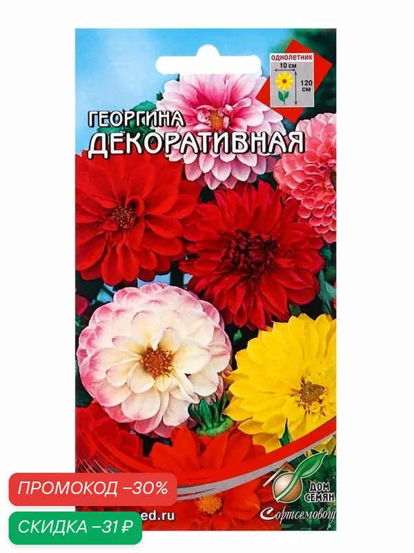 Семена цветов Георгина декоративная, 15 шт, «Дом семян» — Дом семян, скидка по промокоду Яндекс Маркет