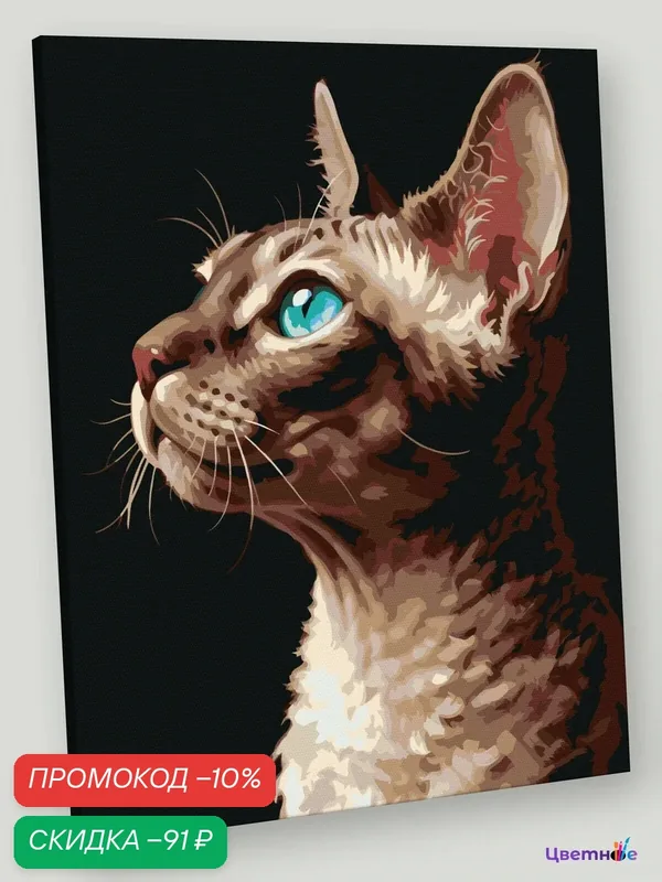 Картина по номерам на холсте с подрамником 40x50 "Кошки: Котенок Девон рекс" — Цветное, скидка по промокоду Яндекс Маркет