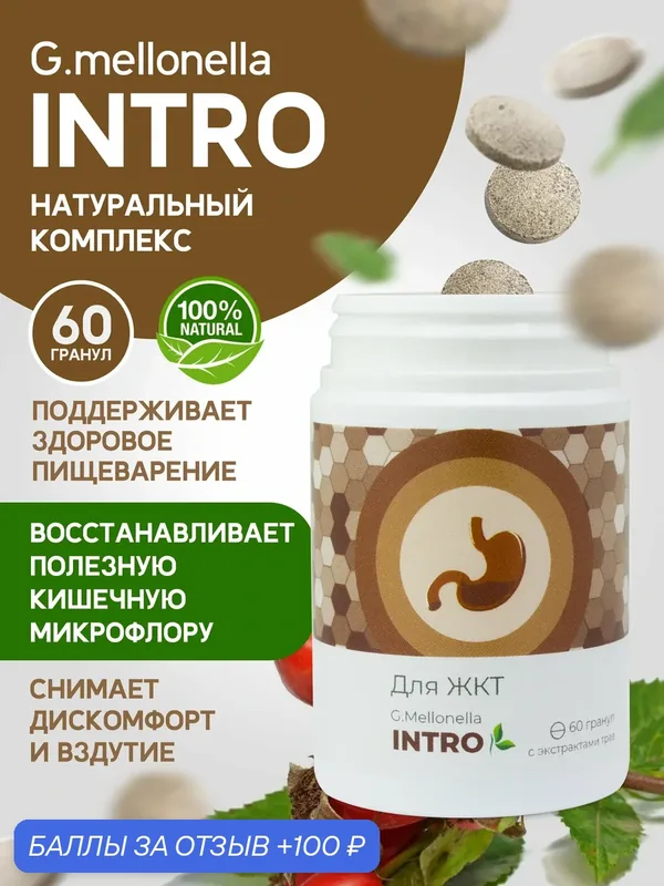 Огневка Интро - для желудочно кишечного тракта, для улучшения пищеварения, для ЖКТ 60 гранул. — Touch Zhiva, 100 баллов за отзыв Яндекс Маркет