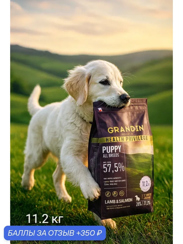 Grandin Holistic Сухой корм для щенков, с ягненком и лососем, 11, 2 кг — Grandin, 350 баллов за отзыв Яндекс Маркет