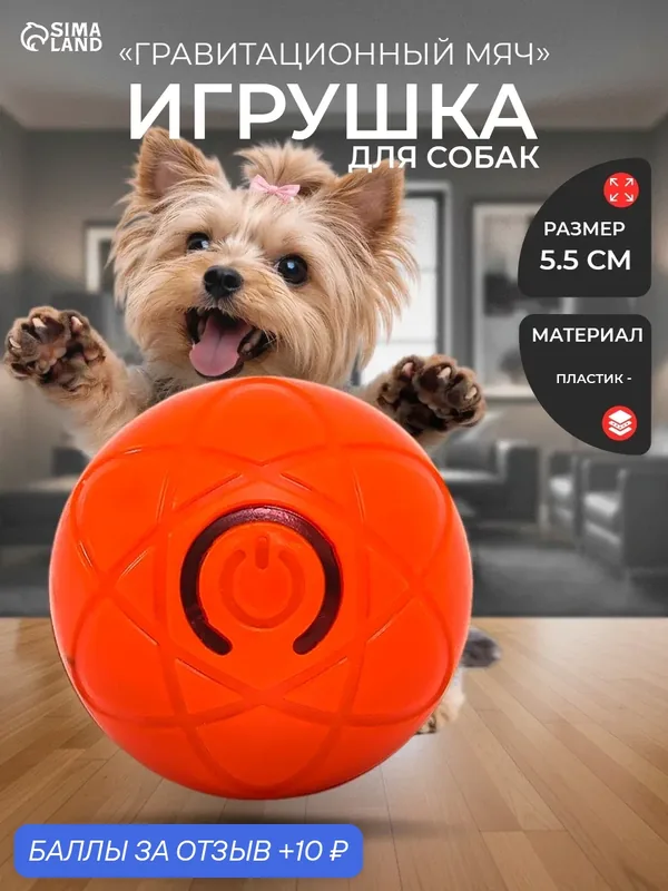 Интерактивная игрушка для собак «Гравитационный мяч», 5.5 см, оранжевая — Сима-ленд, 10 баллов за отзыв Яндекс Маркет