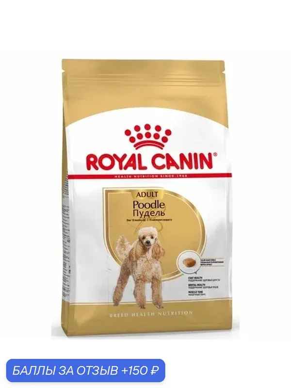 Корм сухой Royal Canin Poodle Adult для взрослых собак пудель, 3 кг — Royal Canin, 150 баллов за отзыв Яндекс Маркет