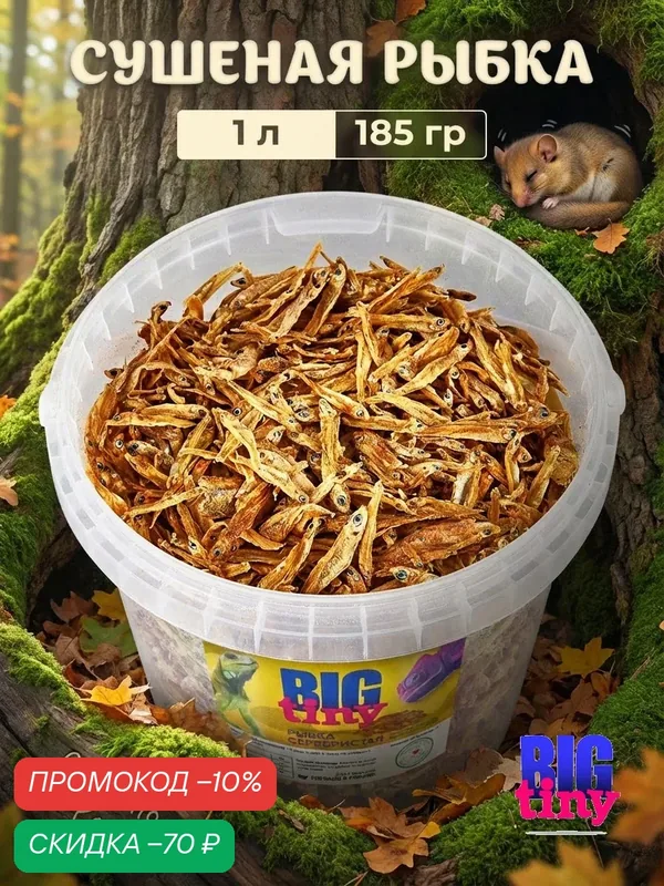 Лакомство BIG tiny, для рептилий, сушеная рыбка, 1-3см, 185г — BIG tiny, скидка по промокоду Яндекс Маркет