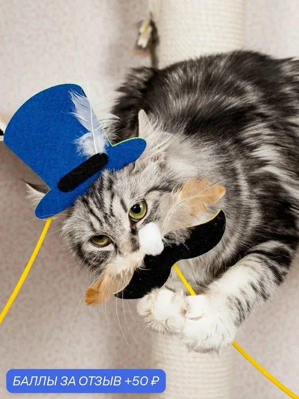 Игрушка для кошек Japan Premium Pet маскарад (для селфи) Джентльмен — Japan Premium Pet, 50 баллов за отзыв Яндекс Маркет