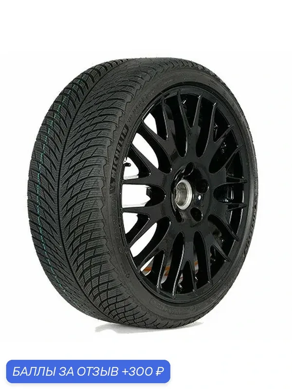 Шина Michelin Pilot Alpin 5 255/40 R21 102V — MICHELIN, 300 баллов за отзыв Яндекс Маркет