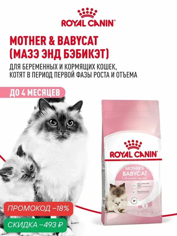 Сухой корм для котят, беременных и кормящих кошек Royal Canin Mother&Babycat, 2 кг — Royal Canin, скидка по промокоду Яндекс Маркет