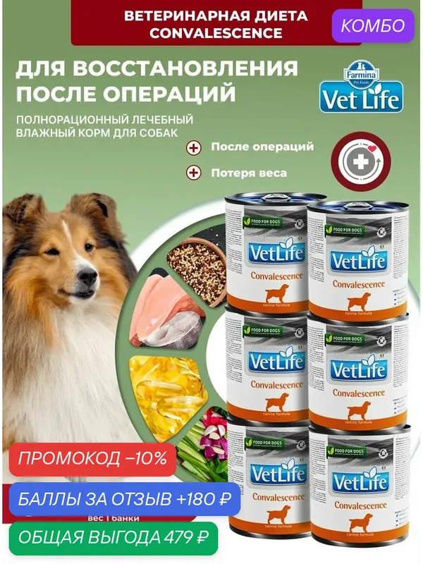 Влажный диетический корм Vet Life Farmina Для собак, Вет Лайф паштет конвалесценсе Фармина 300 г — 6 шт Convalescence Восстановление после болезни, после операции, для ослабленных — Farmina, промокод и 180 баллов за отзыв Яндекс Маркет