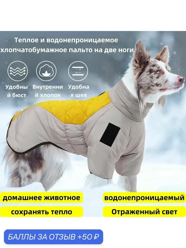 Тепло зимой, унисекс, домашние животные, собаки — 50 баллов за отзыв Яндекс Маркет