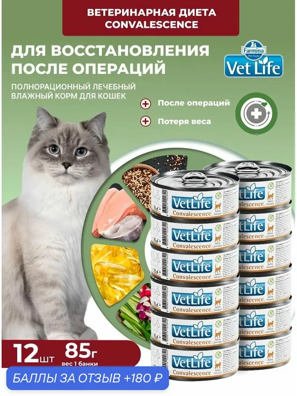 Влажный диетический корм Vet Life Farmina Для кошек Вет Лайф паштет конвалесценсе Фармина 85 г — 12 шт Convalescence Восстановление после болезни, после операции, для ослабленных — Farmina, скидка по промокоду Яндекс Маркет