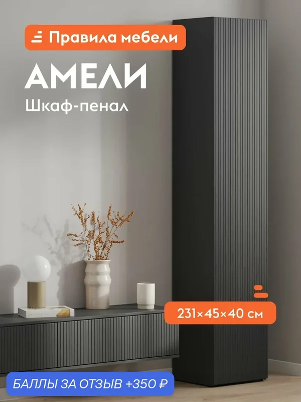 Распашной шкаф-пенал для одежды и хранения вещей Амели с полками, с фрезеровкой, 45х40х231 см, Черный графит — Правила мебели, 350 баллов за отзыв Яндекс Маркет
