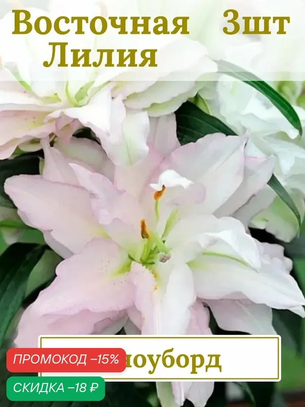 Лилия Восточная махровая, многолетние цветы, луковицы 3 шт — Сады мира, скидка по промокоду Яндекс Маркет