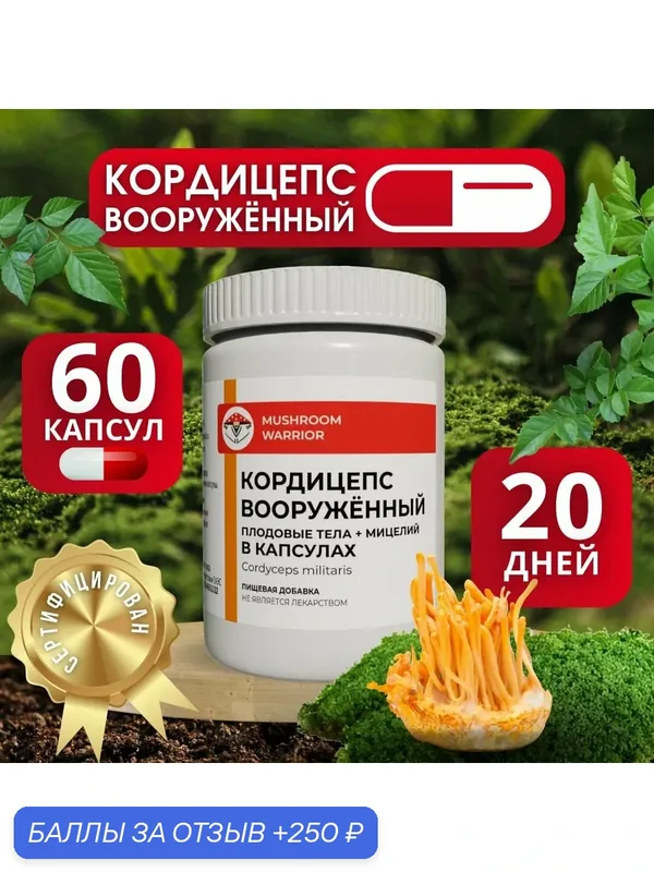 Кордицепс ноотроп, микс плодовых тел и мицелия для иммунитета, детокс для омоложения, 60 капсул, Mushroom Warrior — MUSHROOM WARRIOR, 250 баллов за отзыв Яндекс Маркет