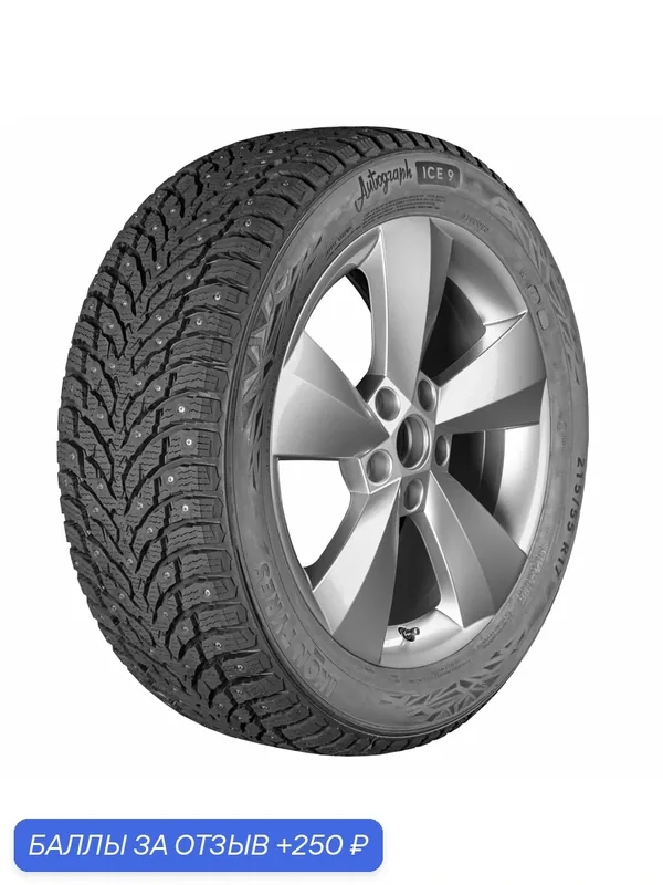 Автошина R15 195/65 Ikon Autograph Ice 9 95T XL шип TS72197 — IKON TYRES, 250 баллов за отзыв Яндекс Маркет
