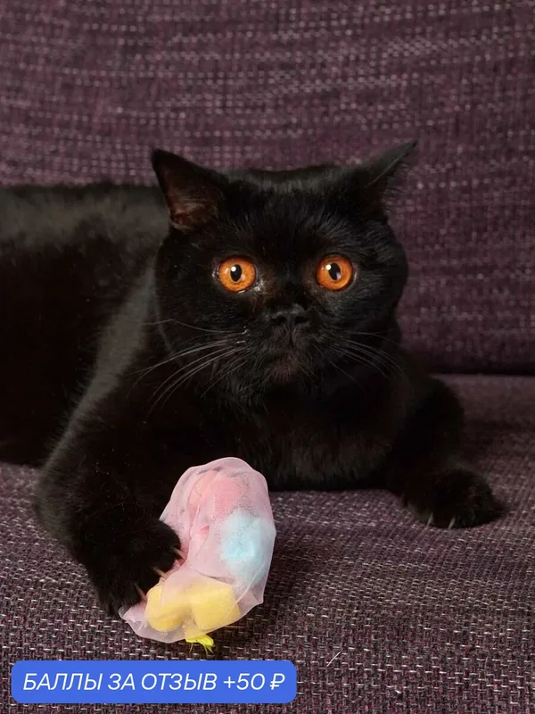 Игрушка для кошек Japan Premium Pet Воздушная медуза. Серия "Волшебная коробка для кошек" — Japan Premium Pet, 50 баллов за отзыв Яндекс Маркет