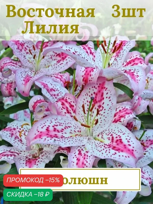 Лилия Восточная махровая, многолетние цветы, луковицы 3 шт — Сады мира, скидка по промокоду Яндекс Маркет