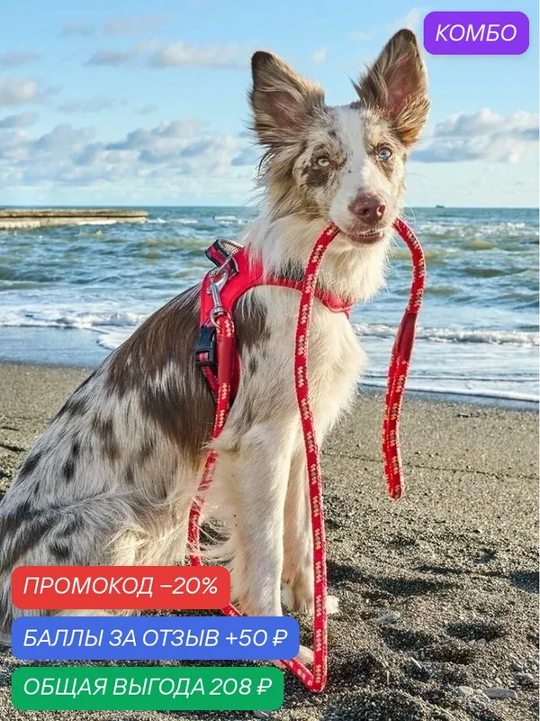 Поводок для собак Japan Premium Pet особо прочный со светоотражением, красный, длина 140 см — Japan Premium Pet, промокод и 50 баллов за отзыв Яндекс Маркет