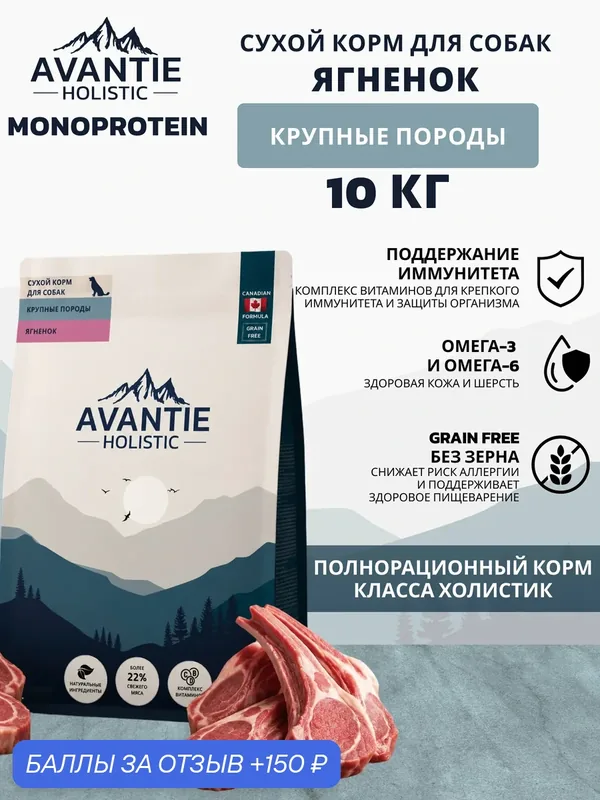 Avantie Holistic Monoprotein Сухой корм для собак крупных пород, Ягненок 10 кг — AVANTIE, 150 баллов за отзыв Яндекс Маркет
