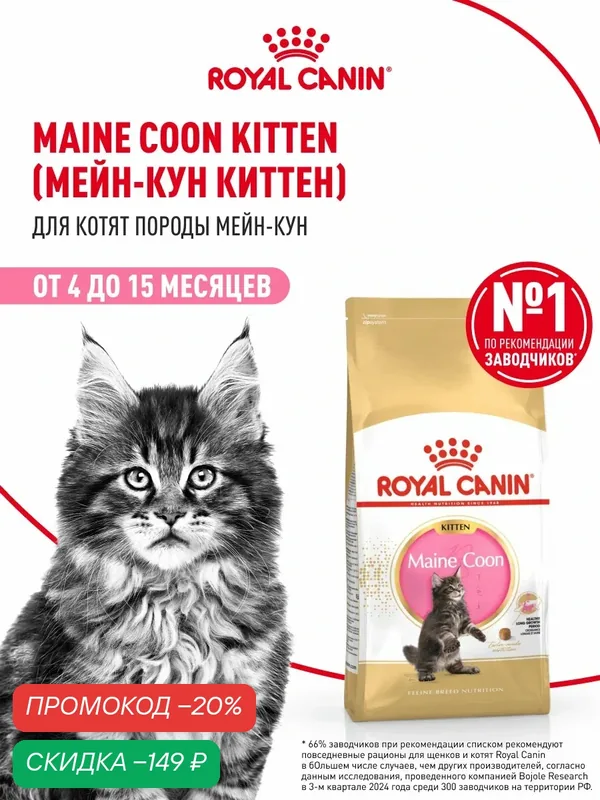 Сухой корм для котят Royal Canin Kitten для породы мейн кун, 400 г — Royal Canin, скидка по промокоду Яндекс Маркет
