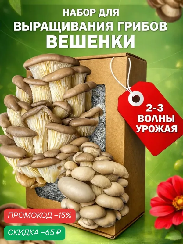 Набор для выращивания Грибницы Вешенки поГрибок, с мицелием грибов, субстратом и перчатками — скидка по промокоду Яндекс Маркет