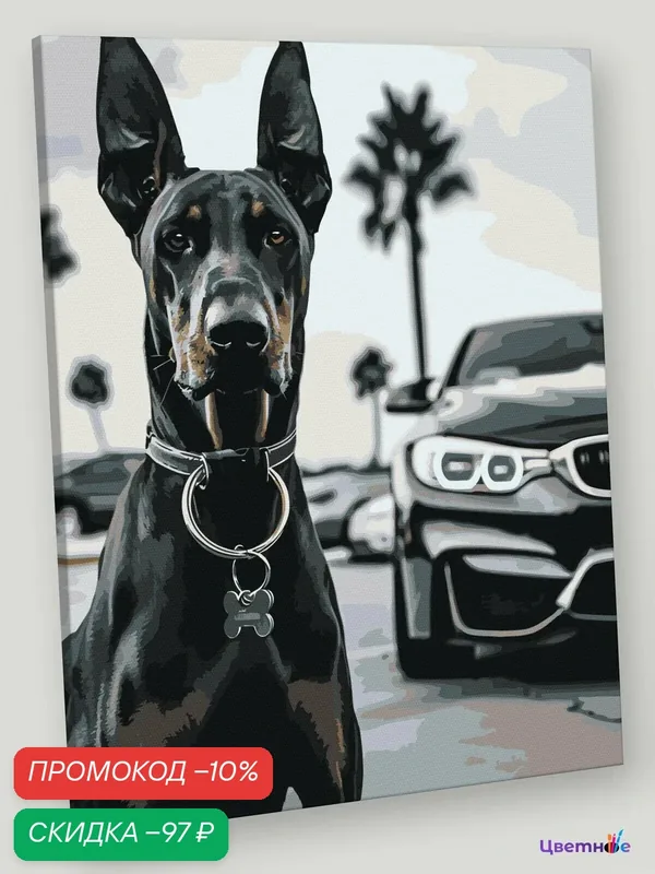 Картина по номерам на холсте с подрамником "Машина BMW и собака доберман монохром" Раскраска 40x50 см, Природа — Цветное, скидка по промокоду Яндекс Маркет