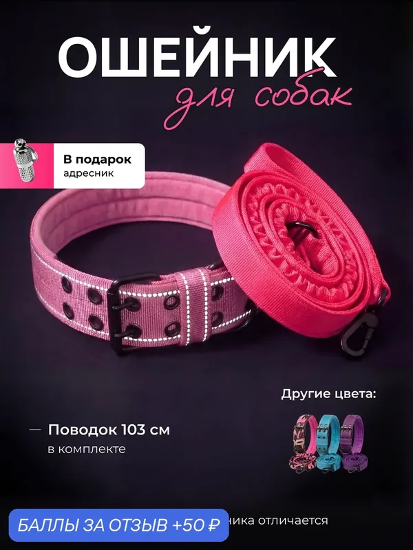 Набор ошейник для собак светоотражающий с поводком и адресником — Soulful Grain, 50 баллов за отзыв Яндекс Маркет