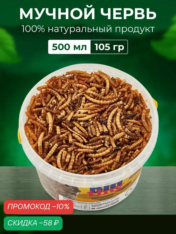 Мучной червь BIG tiny, для грызунов и ежей, для рептилий и черепах. Без ГМО и искусственных добавок, 500мл — BIG tiny, скидка по промокоду Яндекс Маркет