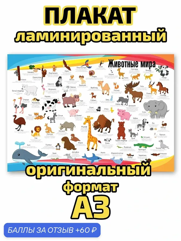 Плакат Квинг "Животные мира", ламинированный, А3, для изучения зоологии — Квинг, 60 баллов за отзыв Яндекс Маркет