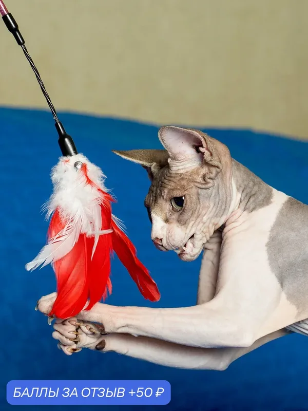 Игрушка для кошек Japan Premium Pet дразнилка в стиле самбо "Рио-де-Жанейро" — Japan Premium Pet, 50 баллов за отзыв Яндекс Маркет