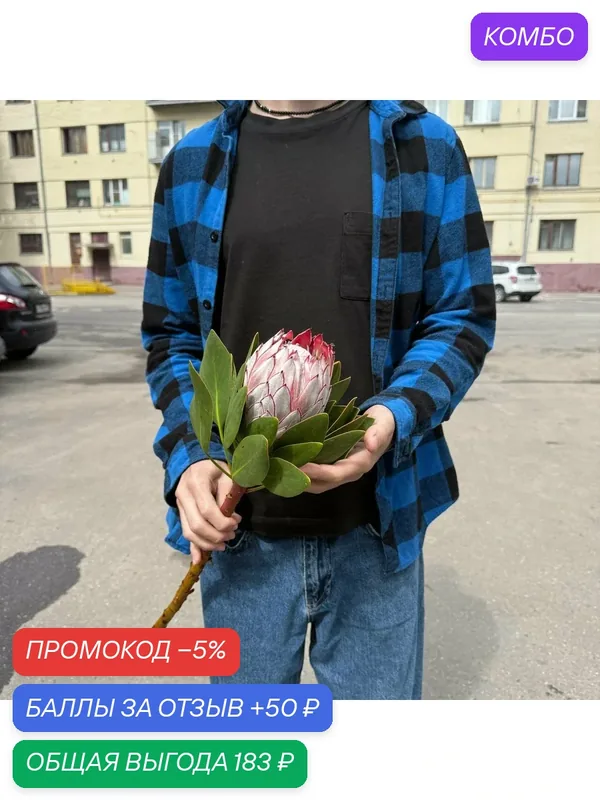 Протея demin-roses, 1 шт, высота 40см, доставка свежих цветов в день заказа — промокод и 50 баллов за отзыв Яндекс Маркет
